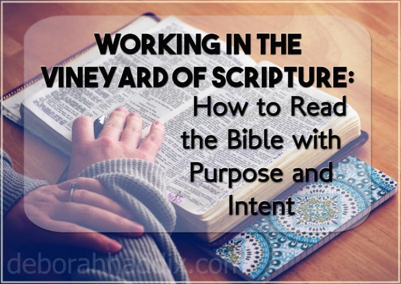 Working in the Vineyard of Scripture:  How to Read the Bible with Purpose and Intent
