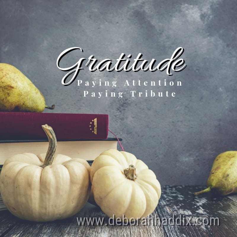 GRATITUDE: Paying Attention, Paying Tribute