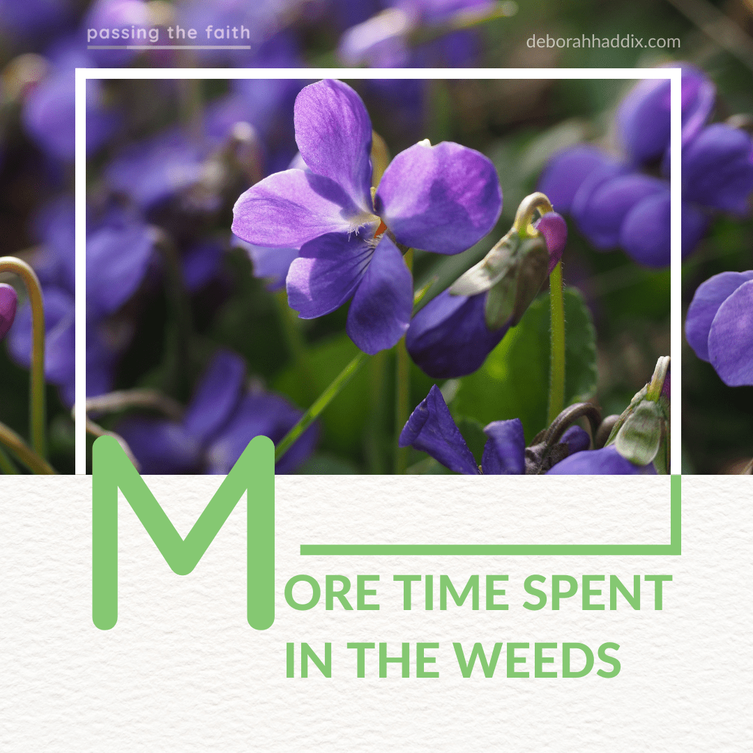  More Time Spent in the Weeds – A Reflection