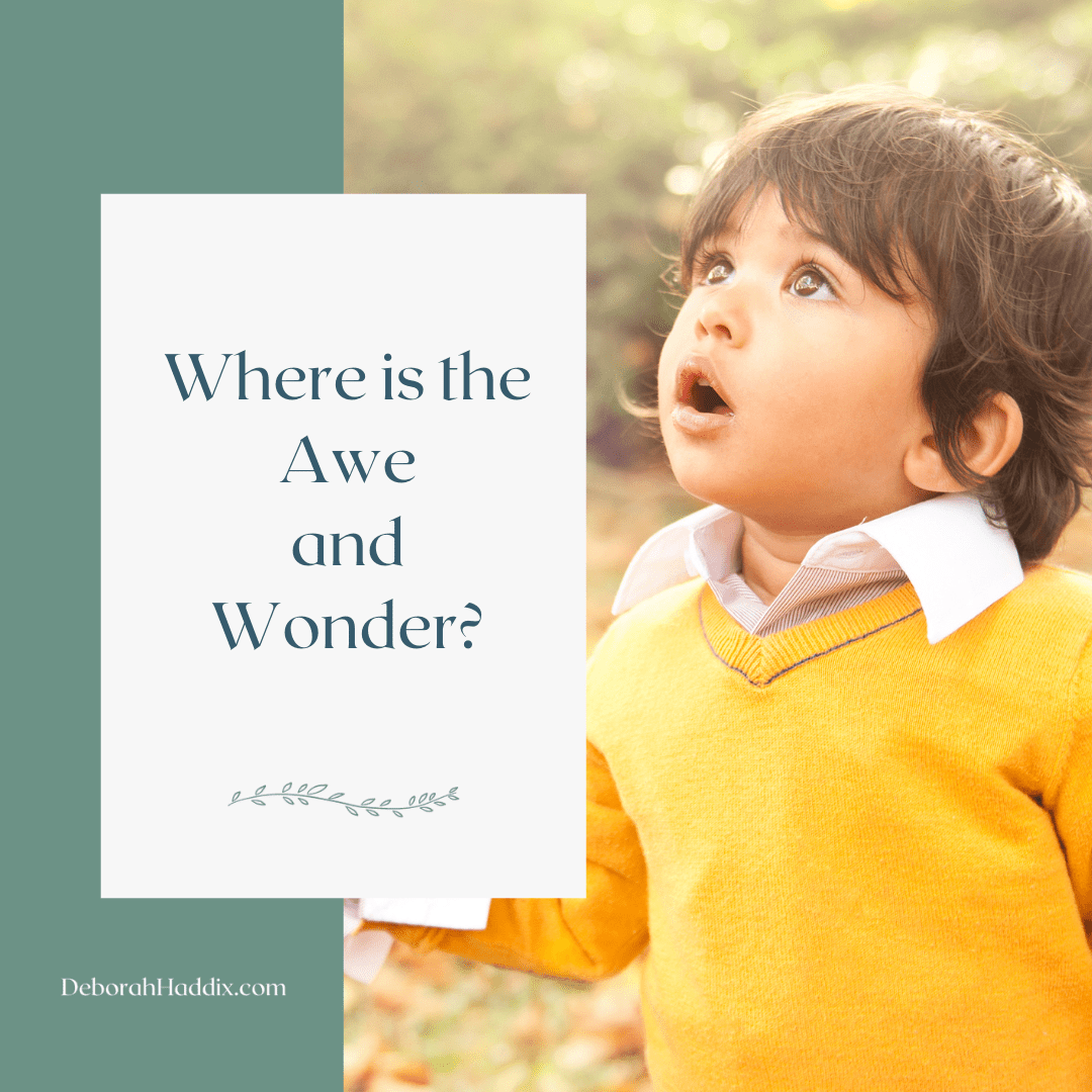 Where is the Awe and Wonder?
