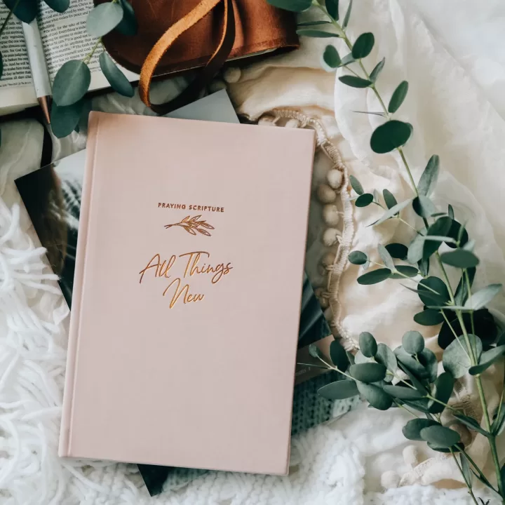 All Things New – Praying Scripture Journal - Image 2