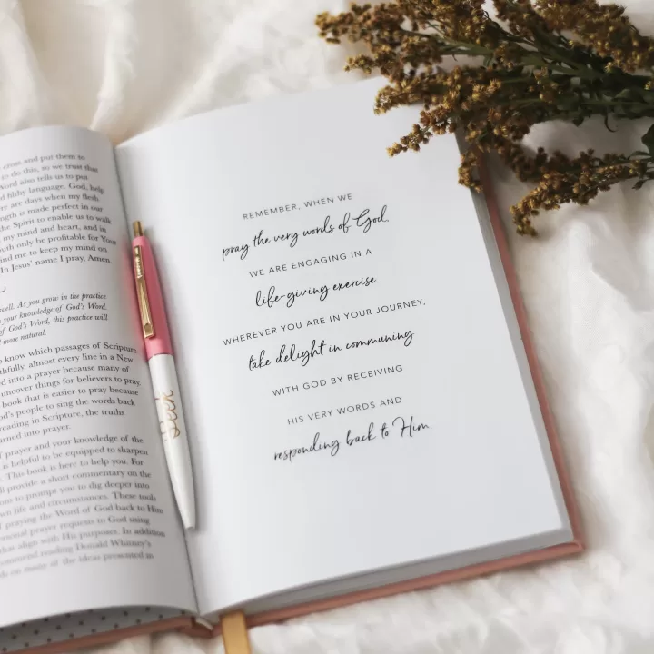 All Things New – Praying Scripture Journal - Image 5