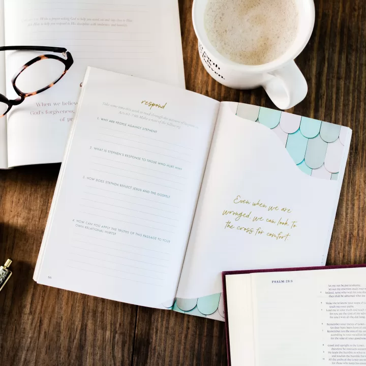 Confident in Christ: Gospel Meditations on Identity for Teens - Image 2