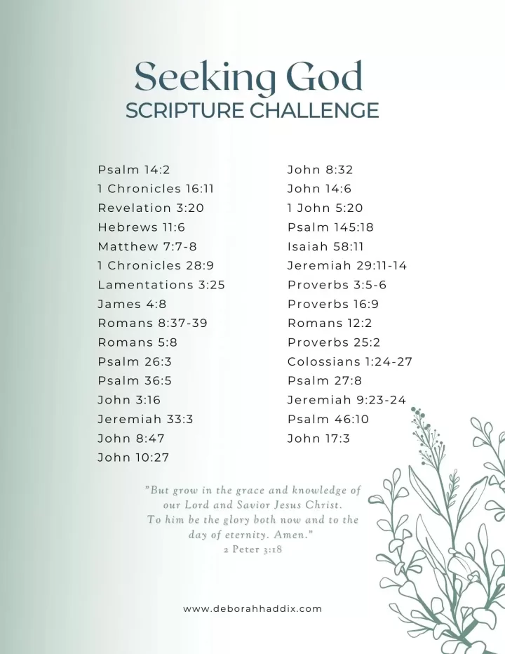 Seeking God Scripture Challenge