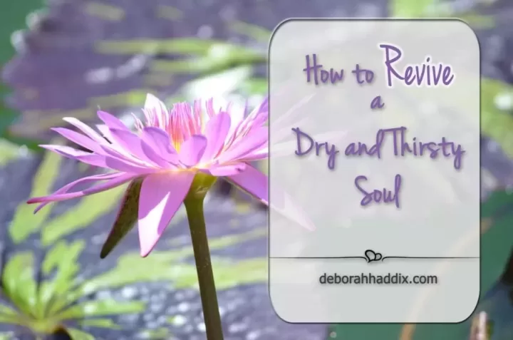 Our soul is needy. When we neglect its care